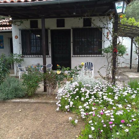 Persefoni House Villa Afissos Exterior foto