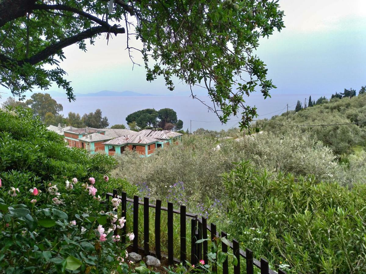 Persefoni House Villa Afissos Exterior foto