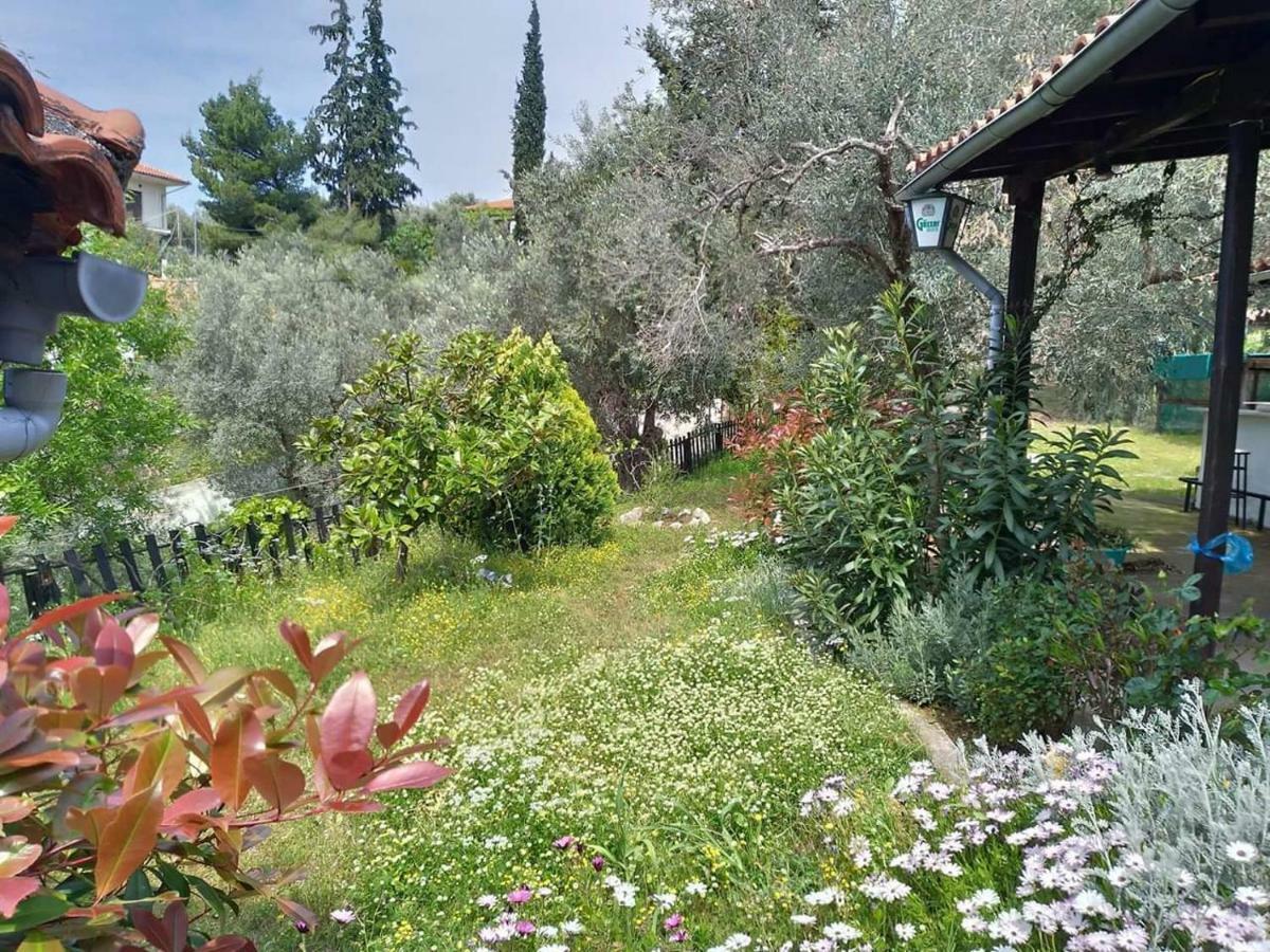 Persefoni House Villa Afissos Exterior foto